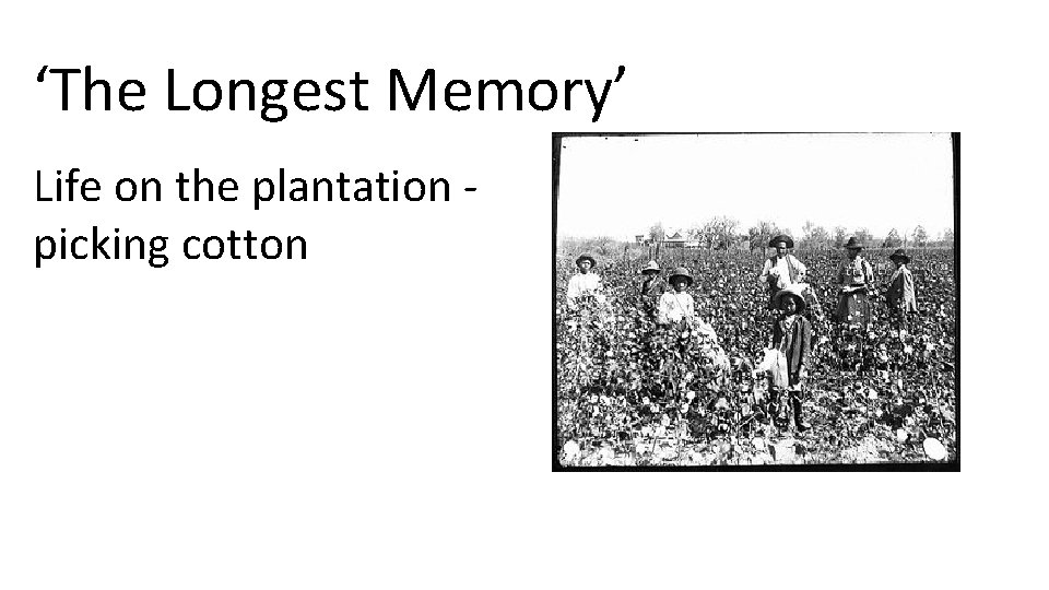 ‘The Longest Memory’ Life on the plantation - picking cotton 