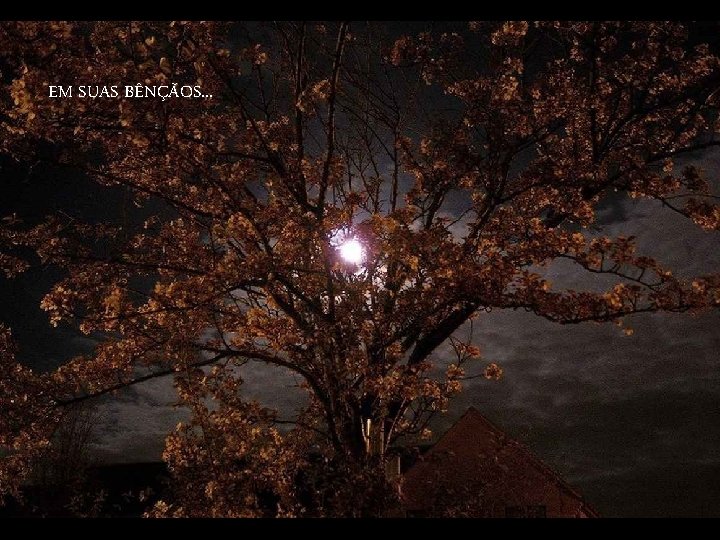 EM SUAS BÊNÇÃOS. . . 