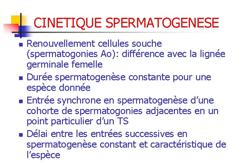 CINETIQUE SPERMATOGENESE n n Renouvellement cellules souche (spermatogonies Ao): différence avec la lignée germinale