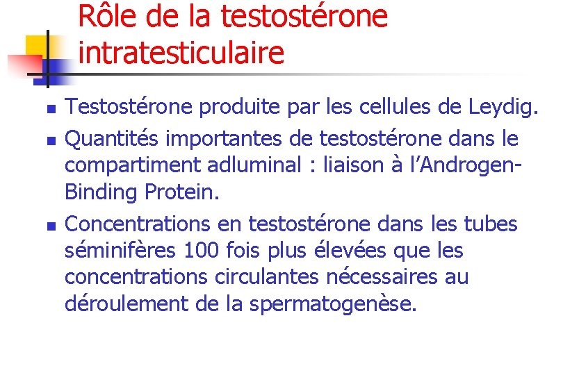 Rôle de la testostérone intratesticulaire n n n Testostérone produite par les cellules de