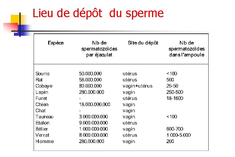 Lieu de dépôt du sperme 