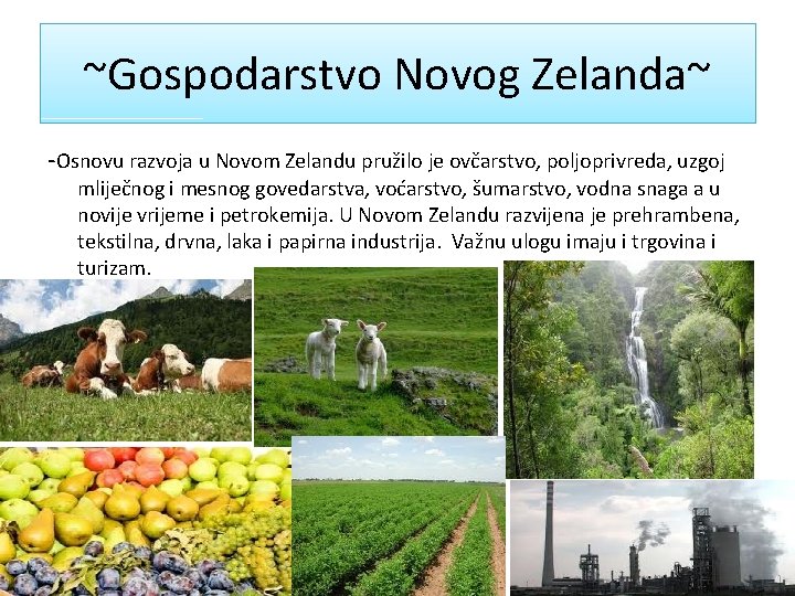 ~Gospodarstvo Novog Zelanda~ -Osnovu razvoja u Novom Zelandu pružilo je ovčarstvo, poljoprivreda, uzgoj mliječnog