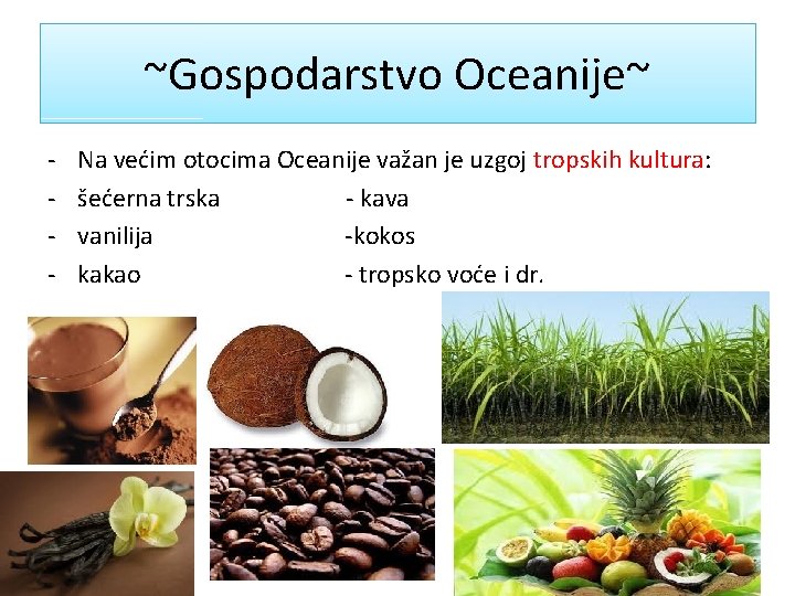 ~Gospodarstvo Oceanije~ - Na većim otocima Oceanije važan je uzgoj tropskih kultura: šećerna trska