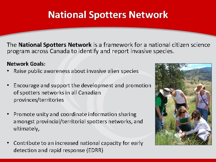 National Spotters Network The National Spotters Network is a framework for a national citizen