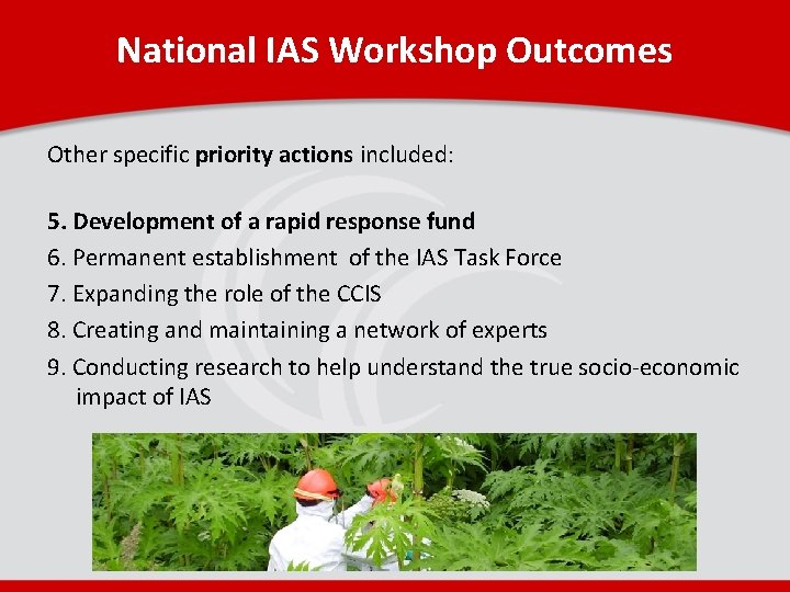 National IAS Workshop Outcomes Other specific priority actions included: 5. Development of a rapid
