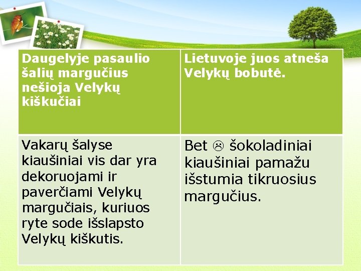 Daugelyje pasaulio šalių margučius nešioja Velykų kiškučiai Lietuvoje juos atneša Velykų bobutė. Vakarų šalyse