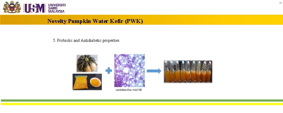 13 Novelty Pumpkin Water Kefir (PWK) 5. Probiotic and Antidiabetic properties Food Technology Division