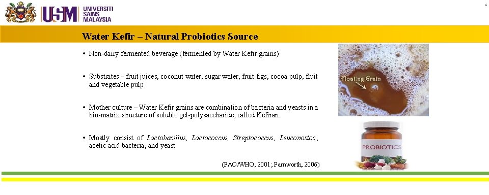 4 Water Kefir ‒ Natural Probiotics Source • Non-dairy fermented beverage (fermented by Water
