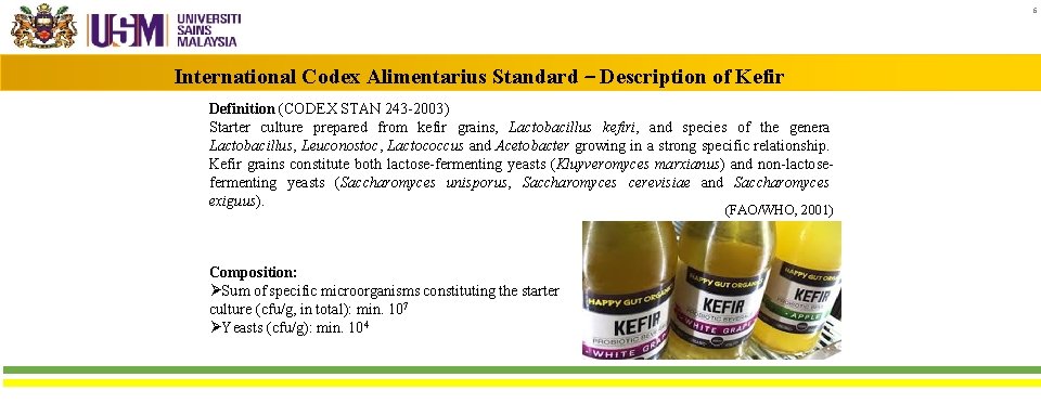 6 International Codex Alimentarius Standard ‒ Description of Kefir Definition (CODEX STAN 243 -2003)