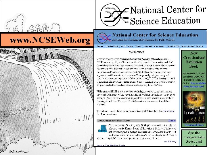 www. NCSEWeb. org Crisis center 