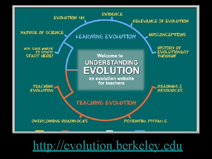 http: //evolution. berkeley. edu 
