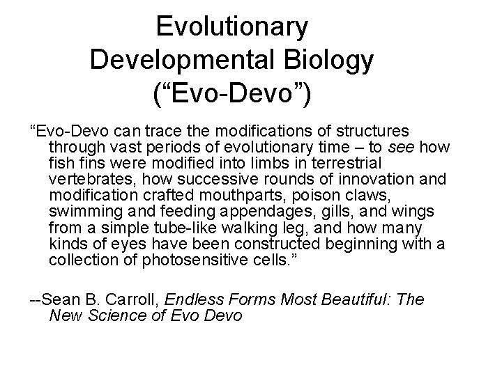 Evolutionary Developmental Biology (“Evo-Devo”) “Evo-Devo can trace the modifications of structures through vast periods