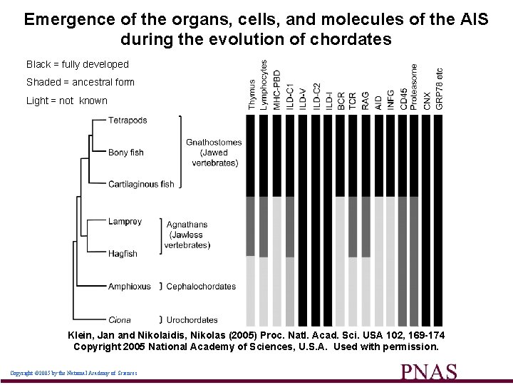 Emergence of the organs, cells, and molecules of the AIS during the evolution of