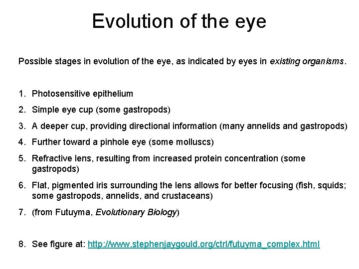 Evolution of the eye Possible stages in evolution of the eye, as indicated by