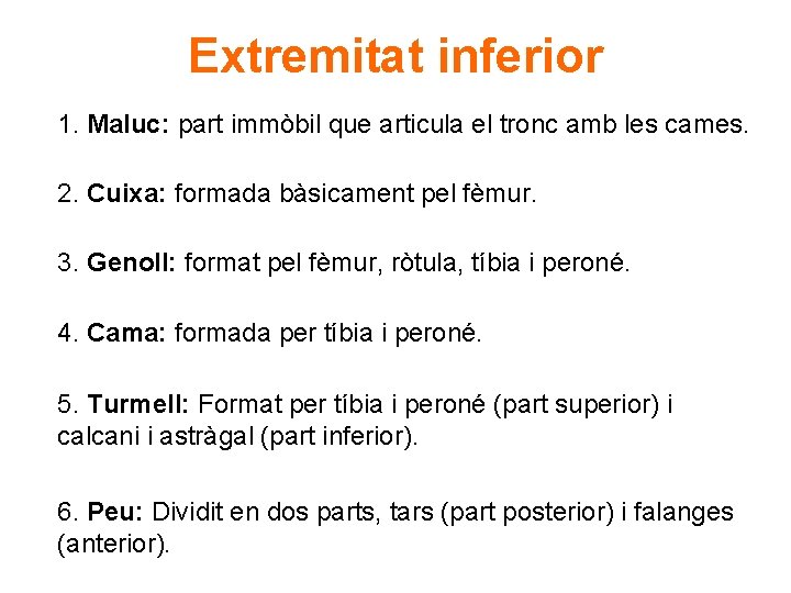 Extremitat inferior 1. Maluc: part immòbil que articula el tronc amb les cames. 2.