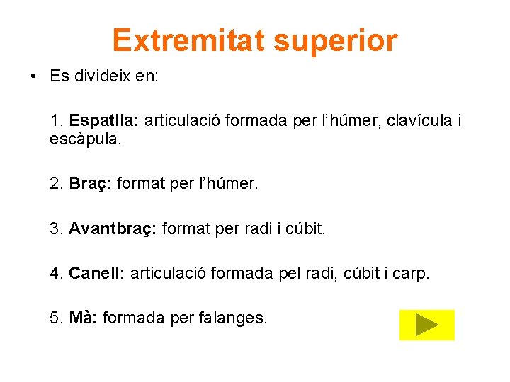 Extremitat superior • Es divideix en: 1. Espatlla: articulació formada per l’húmer, clavícula i