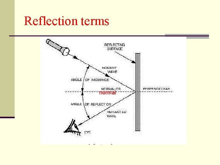 Reflection terms normal 