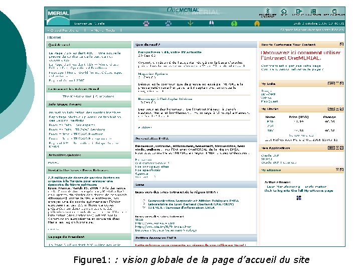 Figure 1: : vision globale de la page d’accueil du site Figure 1: : vision globale de la page d’accueil du site