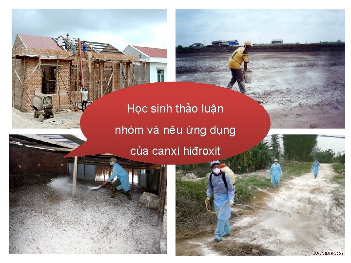 Học sinh thảo luận nhóm và nêu ứng dụng của canxi hiđroxit Học sinh thảo luận nhóm và nêu ứng dụng của canxi hiđroxit