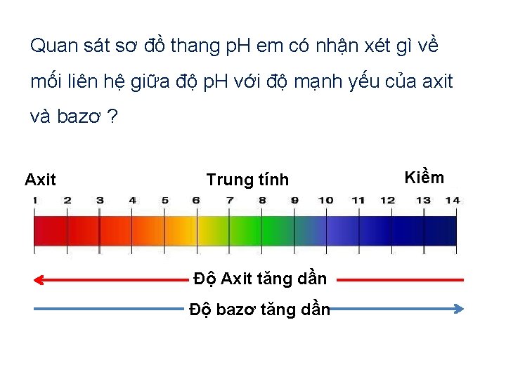 Quan sát sơ đồ thang p. H em có nhận xét gì về mối Quan sát sơ đồ thang p. H em có nhận xét gì về mối