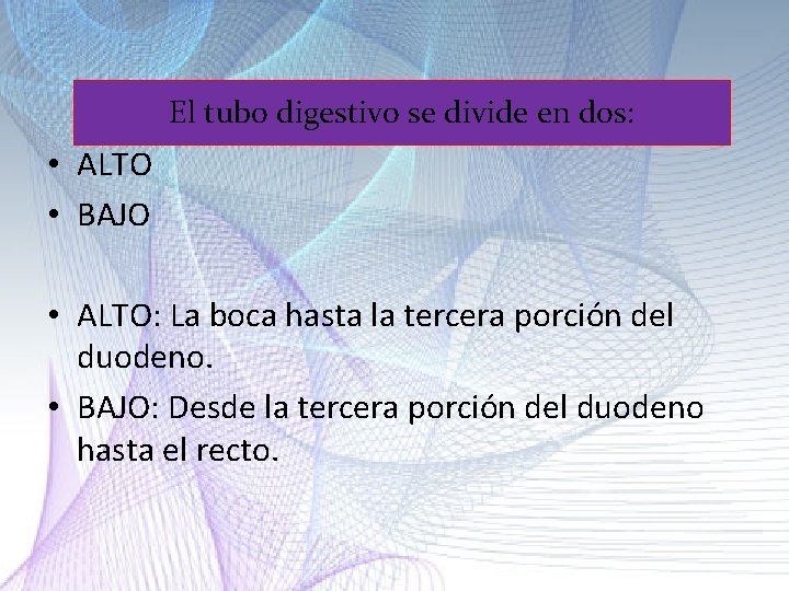 El tubo digestivo se divide en dos: • ALTO • BAJO • ALTO: La El tubo digestivo se divide en dos: • ALTO • BAJO • ALTO: La