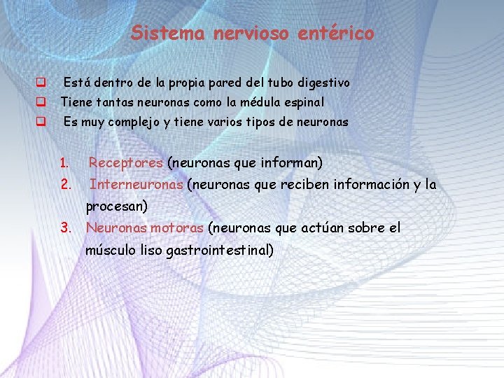 Sistema nervioso entérico q Está dentro de la propia pared del tubo digestivo q Sistema nervioso entérico q Está dentro de la propia pared del tubo digestivo q