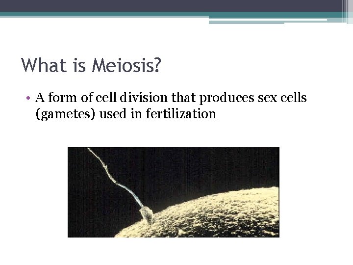 What is Meiosis? • A form of cell division that produces sex cells (gametes)