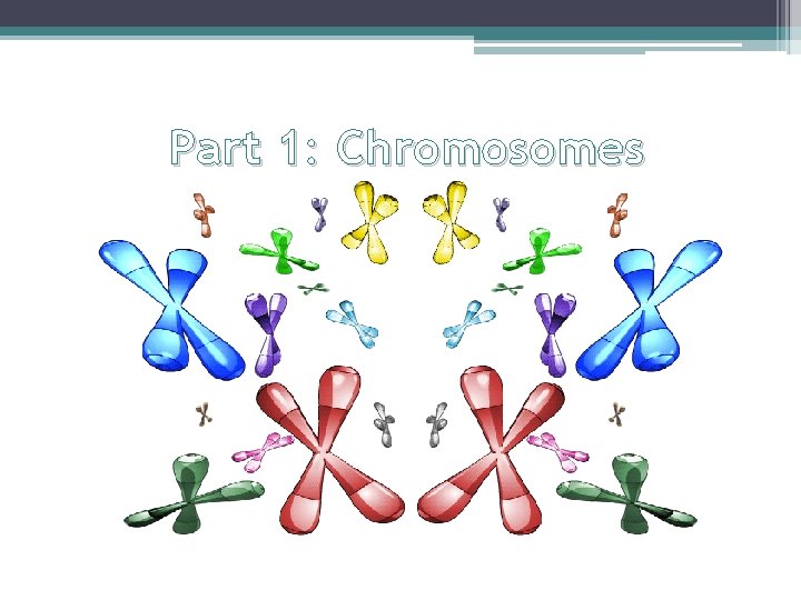 Part 1: Chromosomes 