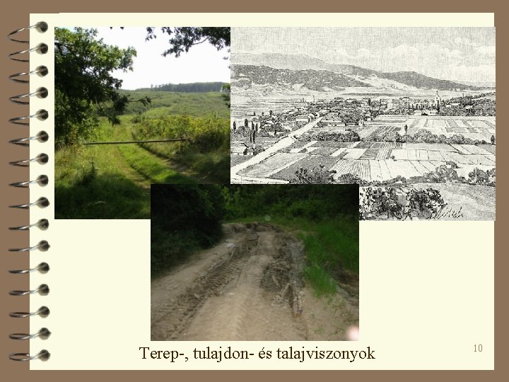 Terep-, tulajdon- és talajviszonyok 10 