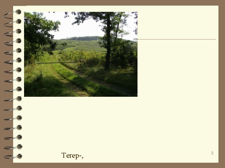 Terep-, 8 