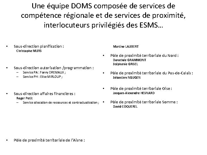 Une équipe DOMS composée de services de compétence régionale et de services de proximité,