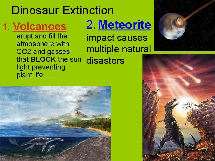 Dinosaur Extinction 2. Meteorite 1. Volcanoes erupt and fill the atmosphere with CO 2