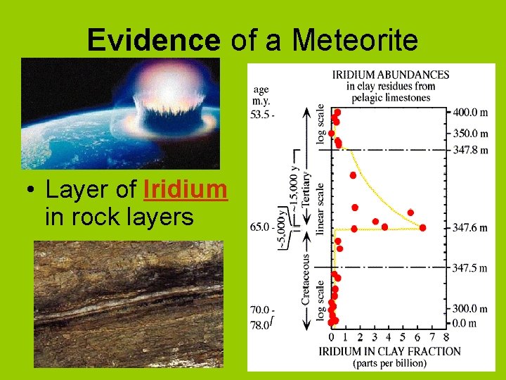 Evidence of a Meteorite • Layer of Iridium in rock layers 