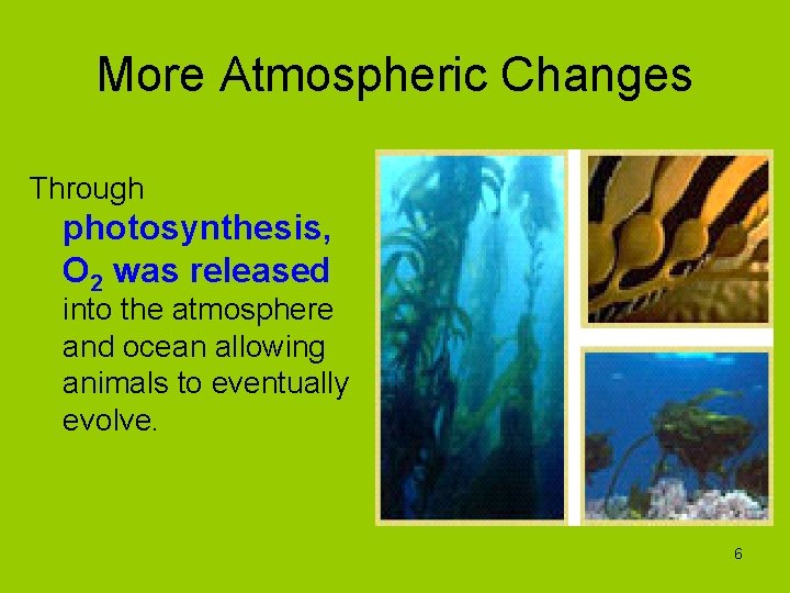 More Atmospheric Changes Through photosynthesis, O 2 was released into the atmosphere and ocean