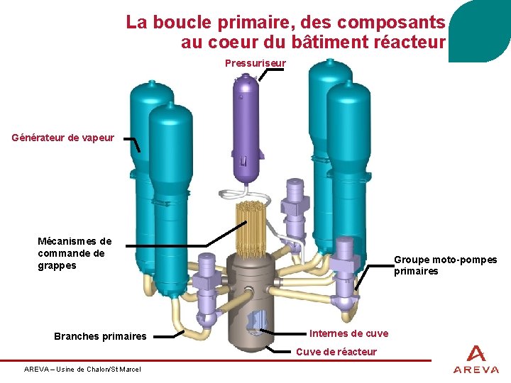 La boucle primaire, des composants au coeur du bâtiment réacteur Pressuriseur Générateur de vapeur