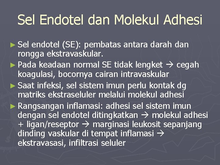 Sel Endotel dan Molekul Adhesi ► Sel endotel (SE): pembatas antara darah dan rongga
