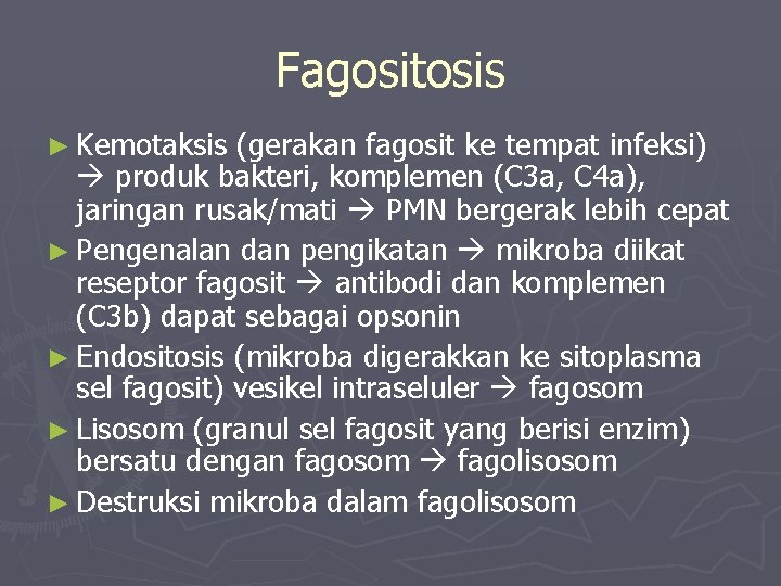 Fagositosis ► Kemotaksis (gerakan fagosit ke tempat infeksi) produk bakteri, komplemen (C 3 a,
