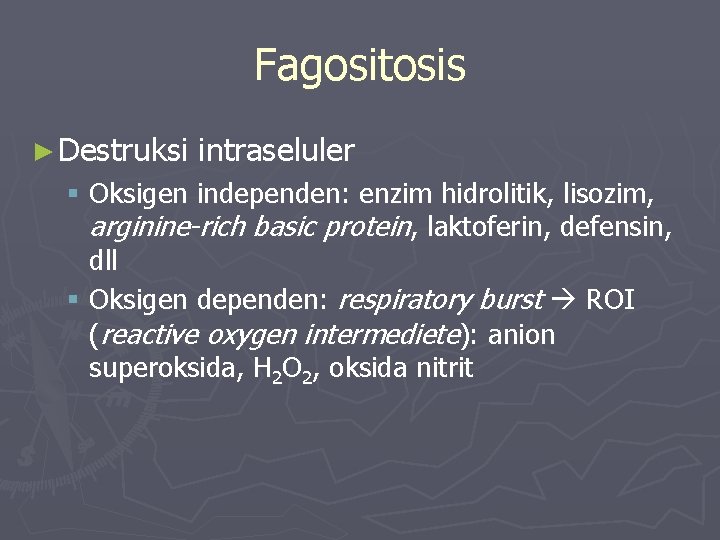 Fagositosis ► Destruksi intraseluler § Oksigen independen: enzim hidrolitik, lisozim, arginine-rich basic protein, laktoferin,