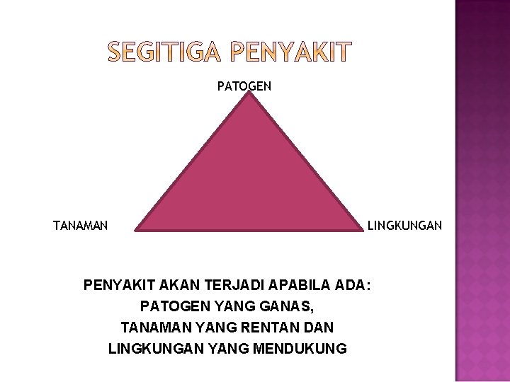 PATOGEN TANAMAN LINGKUNGAN PENYAKIT AKAN TERJADI APABILA ADA: PATOGEN YANG GANAS, TANAMAN YANG RENTAN