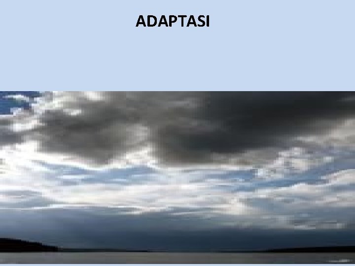 ADAPTASI 