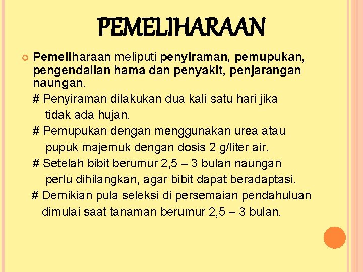 PEMELIHARAAN Pemeliharaan meliputi penyiraman, pemupukan, pengendalian hama dan penyakit, penjarangan naungan. # Penyiraman dilakukan