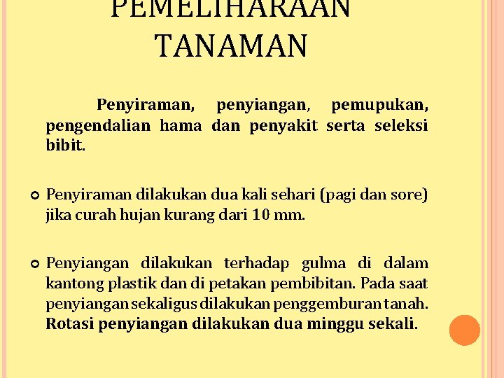 PEMELIHARAAN TANAMAN Penyiraman, penyiangan, pemupukan, pengendalian hama dan penyakit serta seleksi bibit. Penyiraman dilakukan