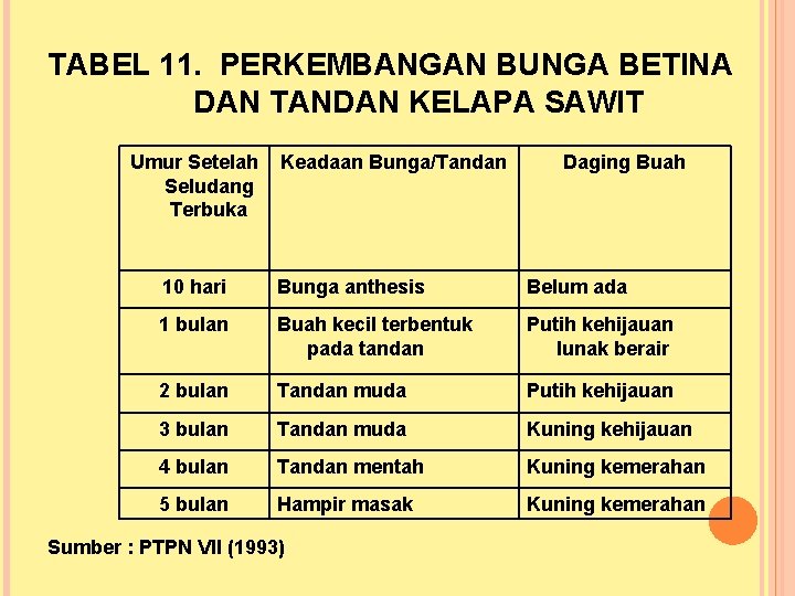 TABEL 11. PERKEMBANGAN BUNGA BETINA DAN TANDAN KELAPA SAWIT Umur Setelah Seludang Terbuka Keadaan