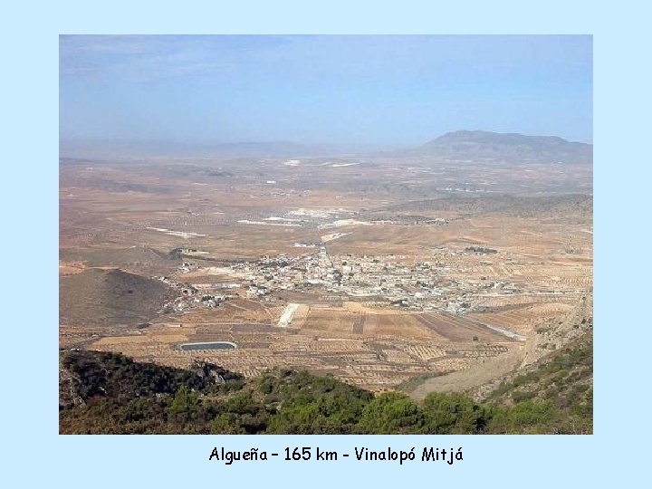 Algueña – 165 km - Vinalopó Mitjá 