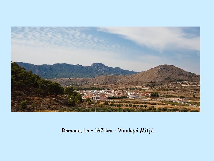 Romana, La – 165 km - Vinalopó Mitjá 