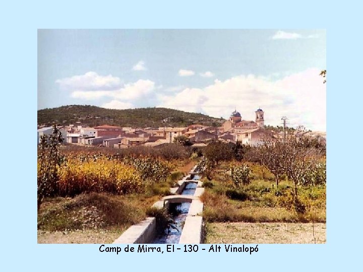 Camp de Mirra, El – 130 - Alt Vinalopó 