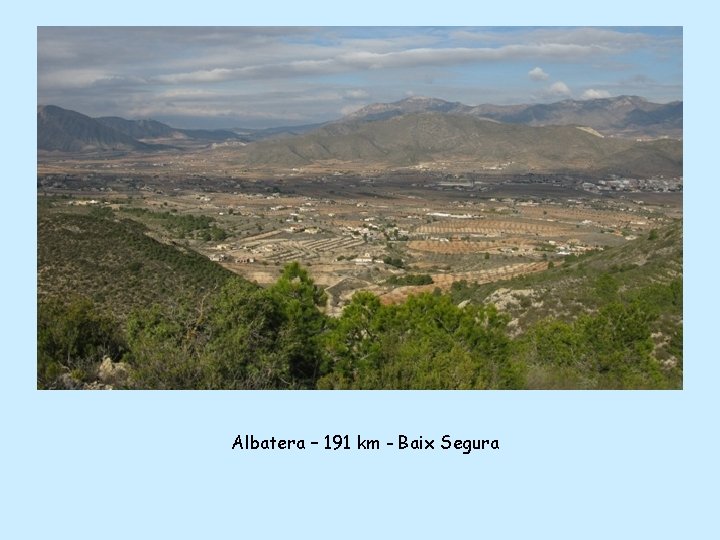 Albatera – 191 km - Baix Segura 