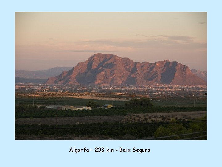 Algorfa – 203 km - Baix Segura 