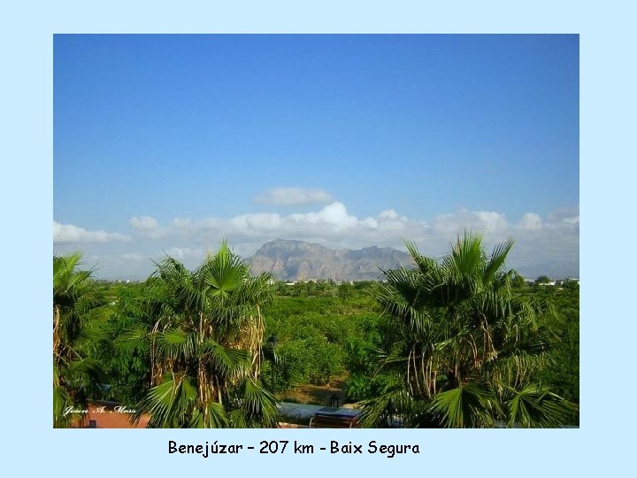 Benejúzar – 207 km - Baix Segura 