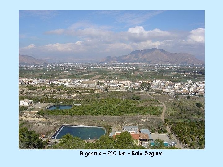 Bigastro – 210 km - Baix Segura 